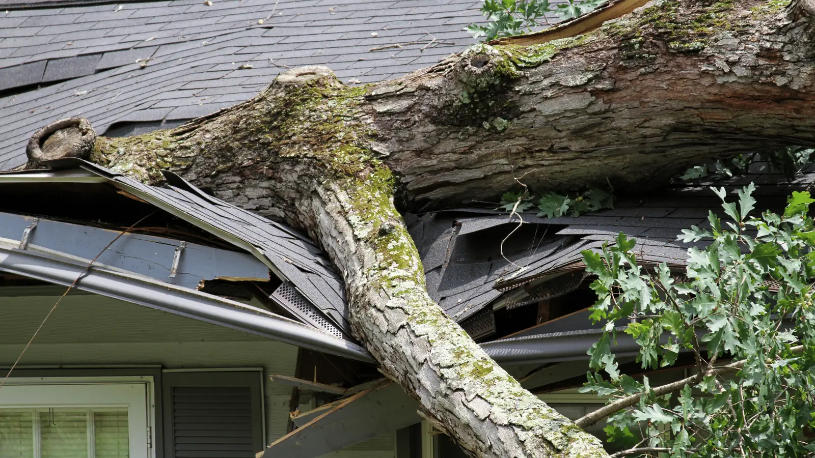 Storm Damage Roof Repair in Indianapolis